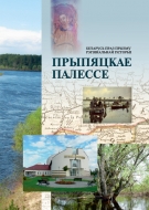 Беларусь праз прызму рэгіянальнай гісторыі : Прыпяцкае Палессе
