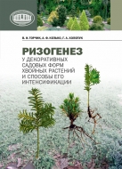 Ризогенез у декоративных садовых форм хвойных растений и способы его интенсификации. Торчик, В. И.