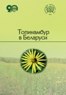 Топинамбур в Беларуси