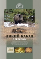 Дикий кабан в Беларуси: биоэкологические аспекты, хозяйственное использование и профилактика болезней