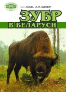 Зубр в Беларуси